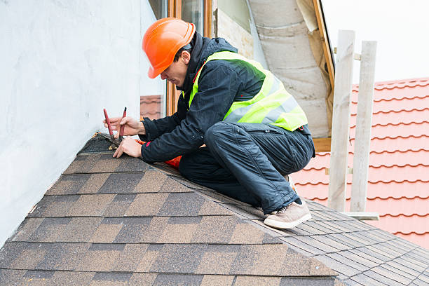 Best Roof Waterproofing Services  in Cibecue, AZ